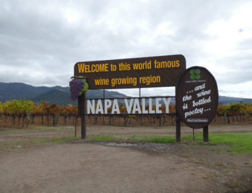 After the Fire – Napa Valley, CA