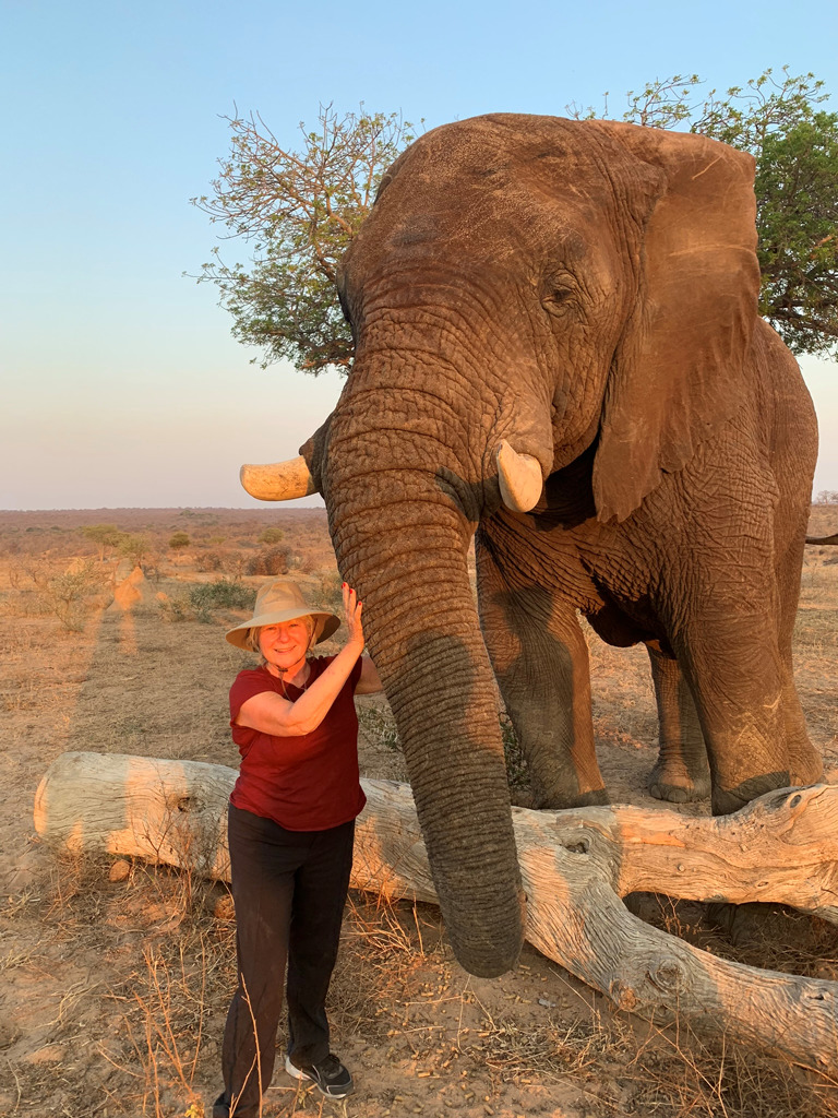 elephant-photo